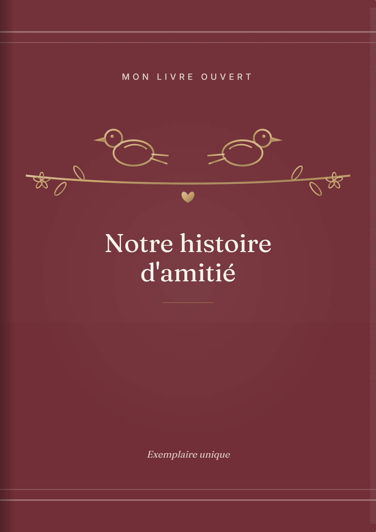 Notre histoire d'amitié — couverture du livre